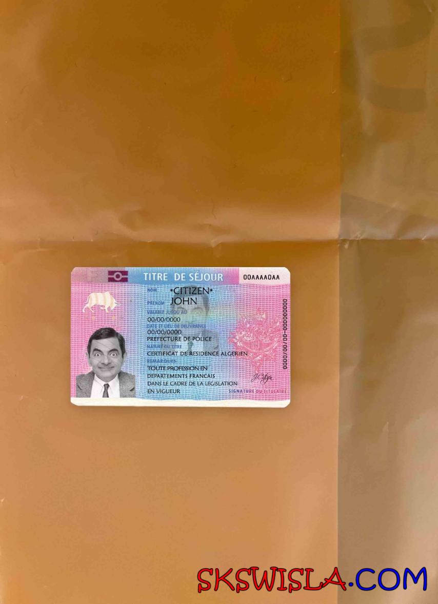 Zezwolenie na pobyt we Francji z fotograficzną dekoracją, zeskanowany wygląd i fotorealistyczny wygląd, 2 w 1